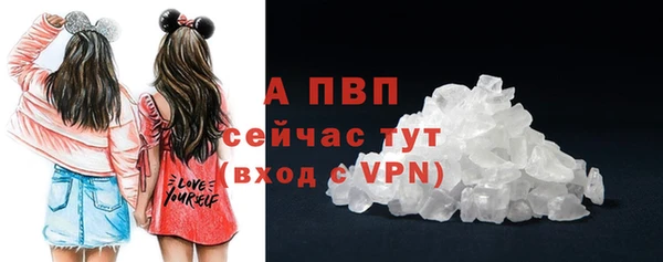 ешки Бердск